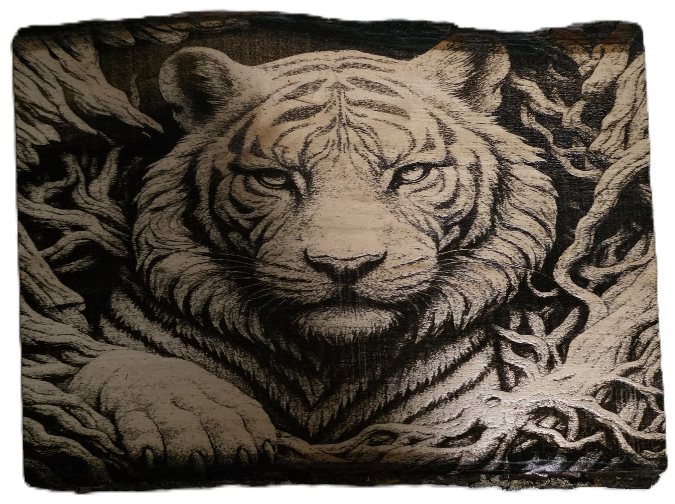 Custom Tiger Engraving – “Rooted Strength”