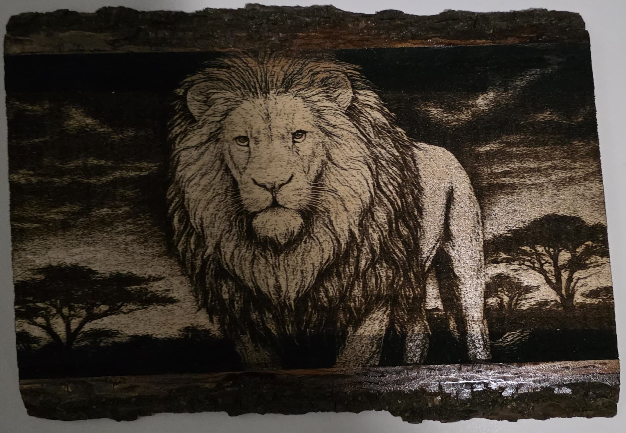 Lion Engraving – Live Edge Basswood