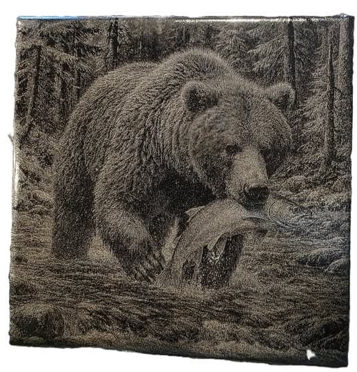 Fishing Bear
